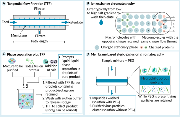 微信图片_20230203091408 微信图片_20230203091408